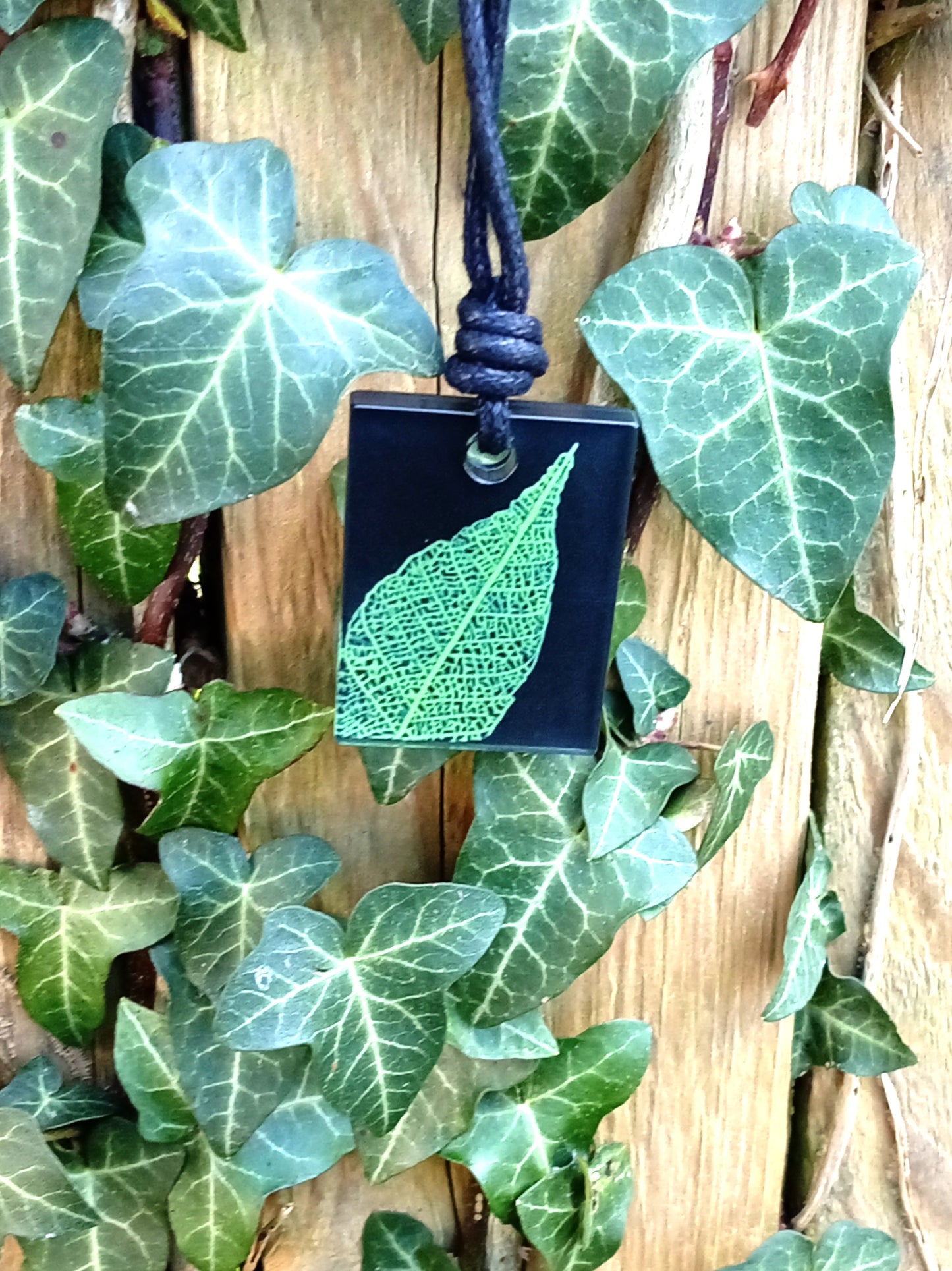 Black rectangular pendant with bright green leaf skeleton design against  ivy covered wood in natural daylight